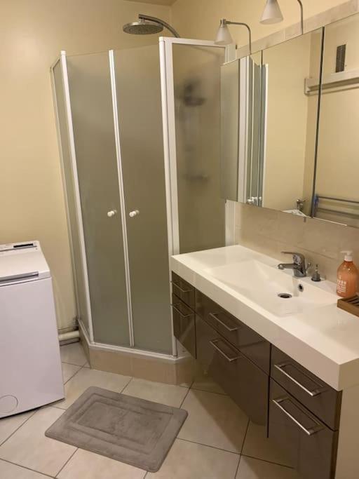 Appartement Chic, Au Pied Du Metro Ligne 14 维勒瑞夫 外观 照片